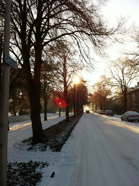 Foto Clematislaan